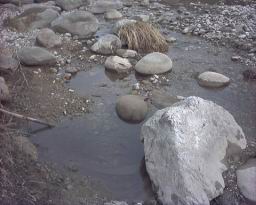 Inquinamento 24-02-05 018.jpg